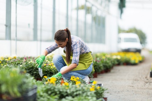 A woman wearing a checked shirt, blue jeans, and green gardening gloves is kneeling beside flower beds in a greenhouse environment. She is planting or tending to bright yellow and purple flowers arranged in neat borders along a pathway. The garden features well-maintained soil and vibrant plants, with a backdrop of transparent panels allowing natural light to illuminate the space. The greenhouse structure includes metal supports and glass panels, creating a controlled environment suitable for horticultural work. In the background, blurred green foliage and possibly a vehicle are visible outside, indicating the garden is part of a professional landscaping or gardening service in Purley. The scene captures a moment of outdoor garden maintenance, reflecting expertise in plant care and landscape management, aligning naturally with gardening services offered by Gardening Services Purley.