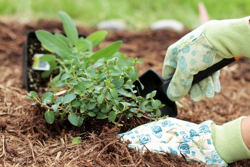Gardener using tools near a wheelchair-accessible garden path