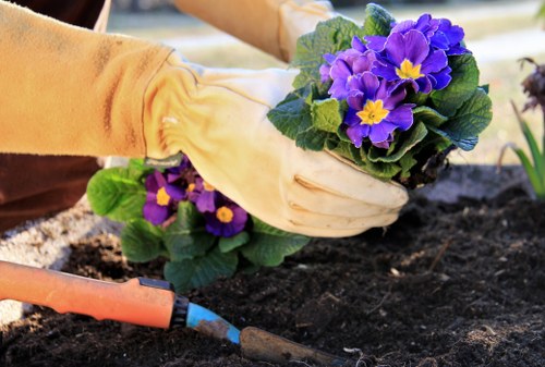Gardener inspecting a garden with safety gear and paperwork