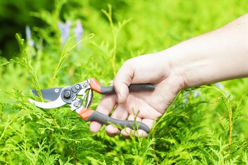 Eco-friendly gardening practices in action