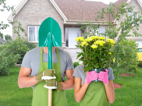 Safe tree removal practices by professionals