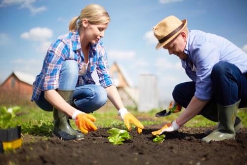 Garden clearance crew removing green waste responsibly